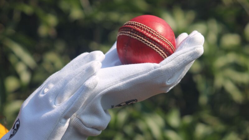 India vs Bangladesh T20 semifinal: What’s the Best Strategy?